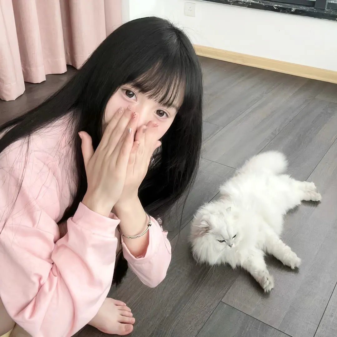特勤精英